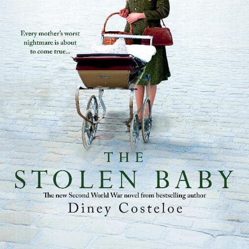 book cover for The Stolen Baby