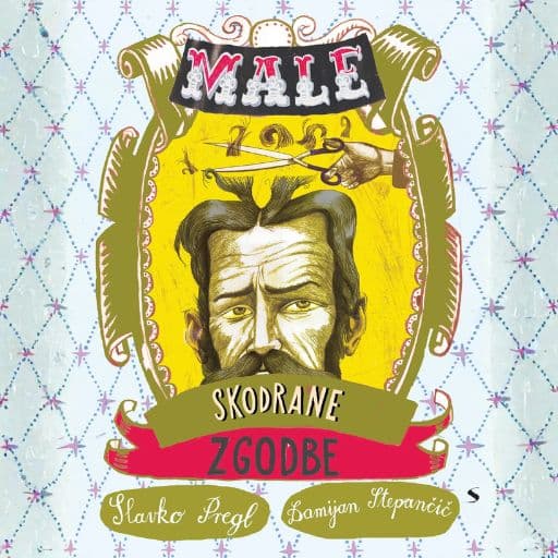 book cover for Male skodrane zgodbe
