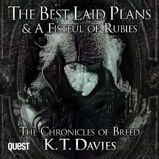 book cover for Best Laid Plans and A Fistful of Rubies