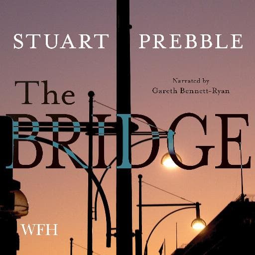 book cover for The Bridge