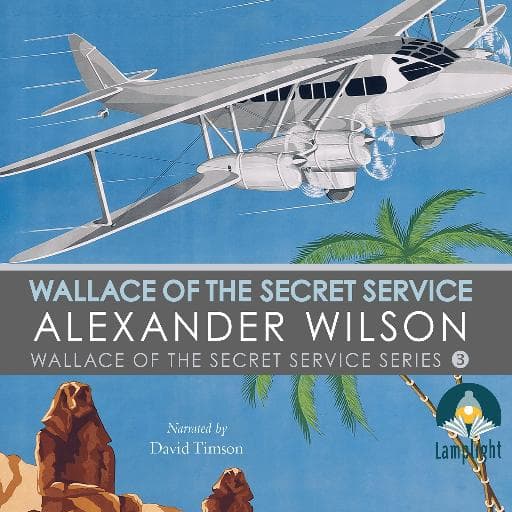 book cover for Wallace of the Secret Service