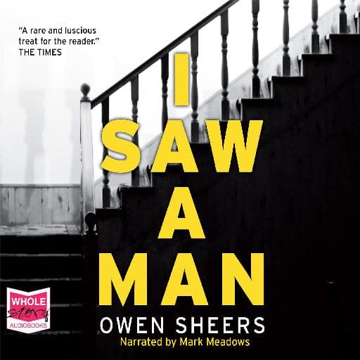 book cover for I Saw A Man