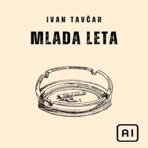 book cover for Mlada leta
