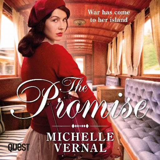 book cover for The Promise