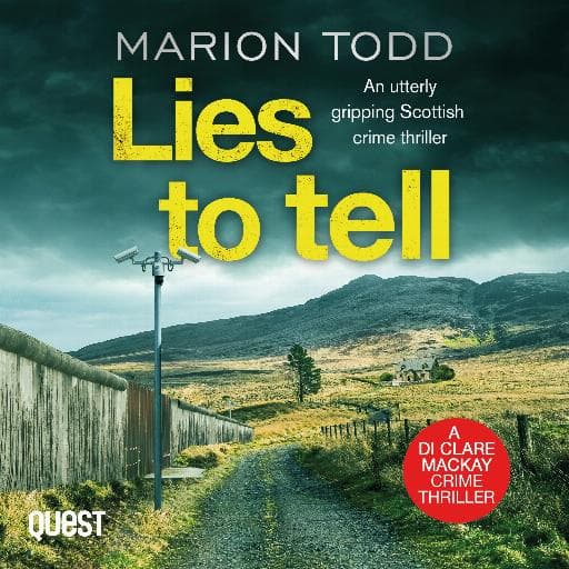 book cover for Lies to Tell