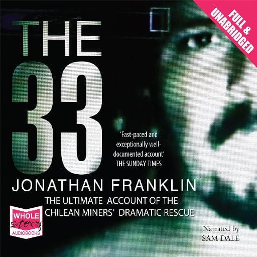 book cover for The 33