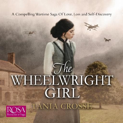 book cover for The Wheelwright Girl