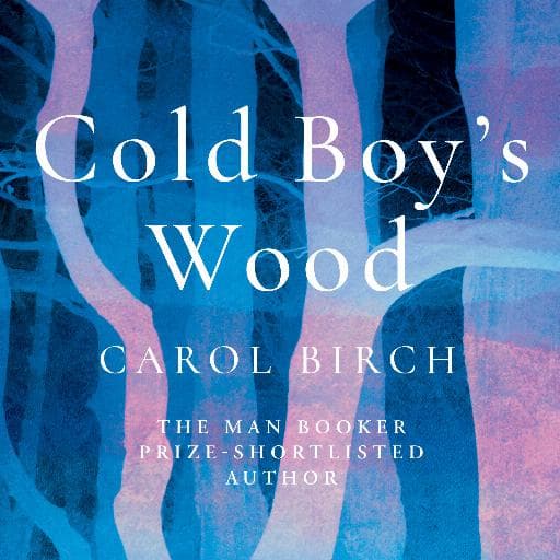 book cover for Cold Boy's Wood