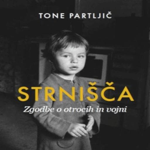 book cover for Strnišča
