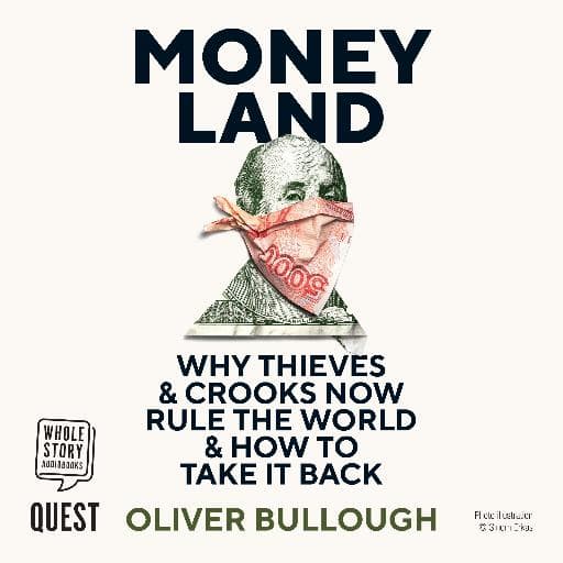 book cover for Moneyland