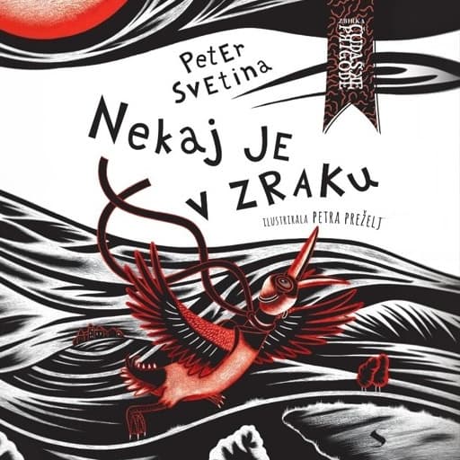 book cover for Nekaj je v zraku