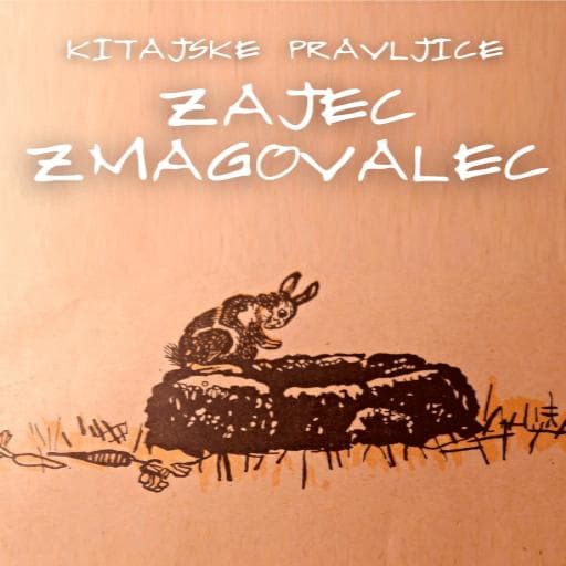 book cover for Zajec zmagovalec