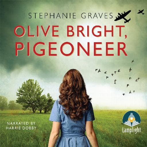 book cover for Olive Bright, Pigeoneer