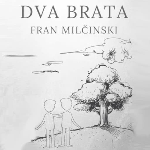 book cover for Dva brata