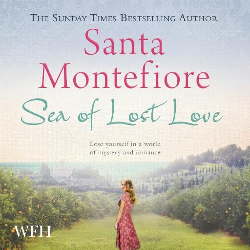 book cover for Sea of Lost Love