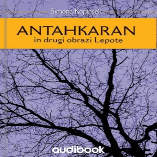 book cover for Antahkaran in drugi obrazi lepote