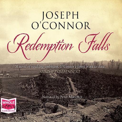 book cover for Redemption Falls