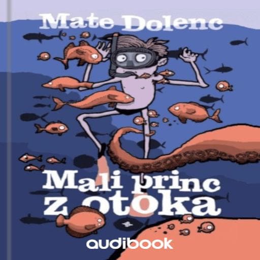 book cover for Mali princ z otoka