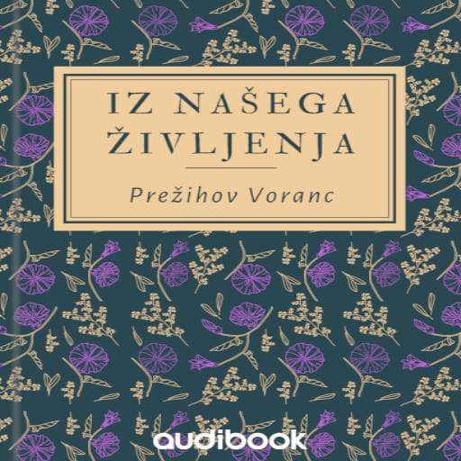 book cover for Iz našega življenja