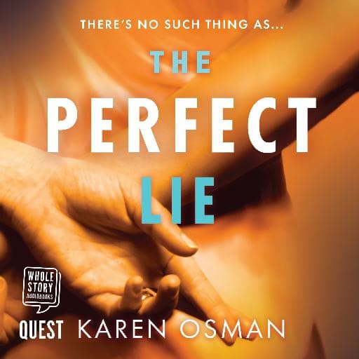 book cover for The Perfect Lie