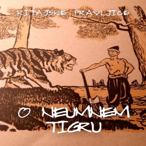 book cover for O neumnem tigru