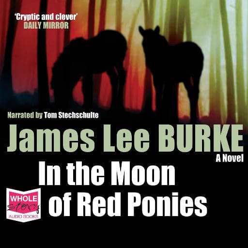 book cover for In the Moon of Red Ponies