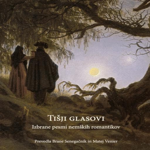 book cover for Tišji glasovi