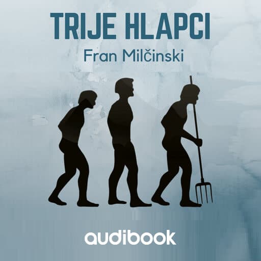 book cover for Trije hlapci