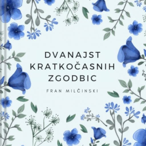 book cover for Dvanajst kratkočasnih zgodbic