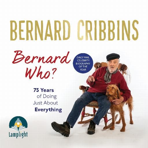 book cover for Bernard Who?