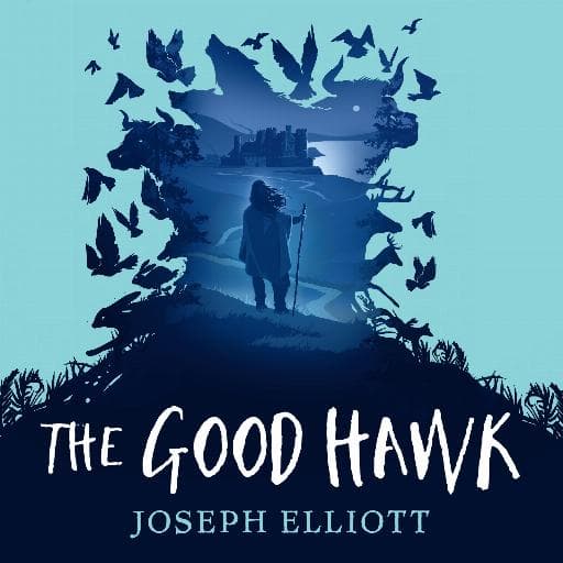 book cover for The Good Hawk