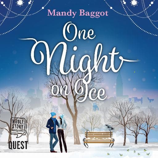 book cover for One Night on Ice