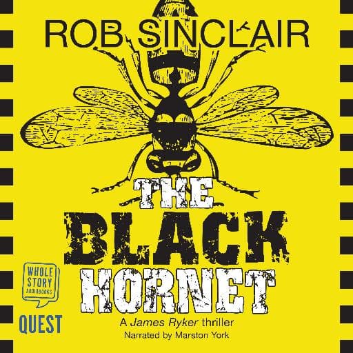 book cover for The Black Hornet (James Ryker Book 2)