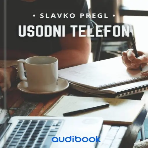 book cover for Usodni telefon