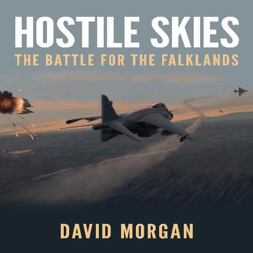 book cover for Hostile Skies