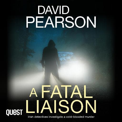 book cover for A Fatal Liaison: Irish detectives investigate a cold-blooded murder