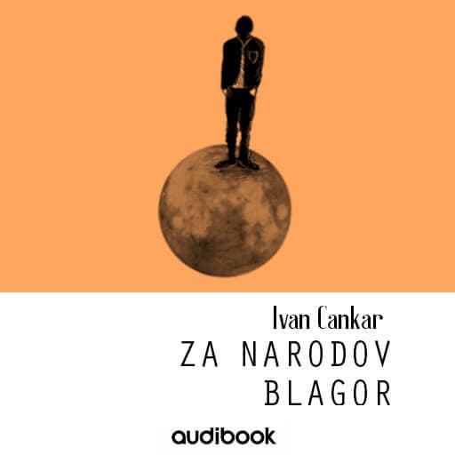 book cover for Za narodov blagor