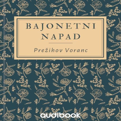 book cover for Bajonetni napad