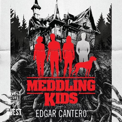 book cover for Meddling Kids