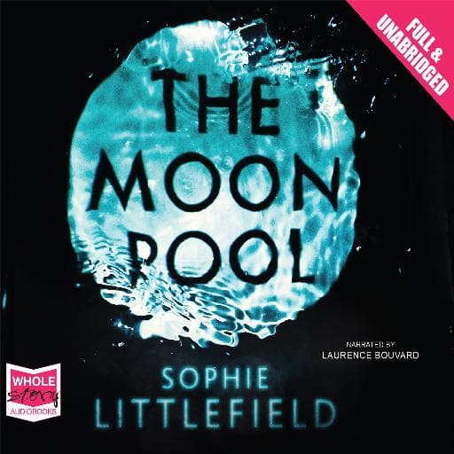 book cover for The Moon Pool