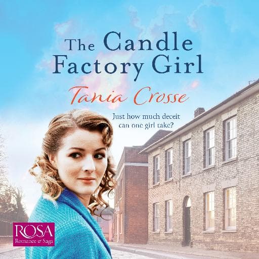book cover for The Candle Factory Girl