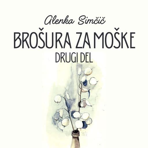 book cover for Brošura za moške - Drugi del