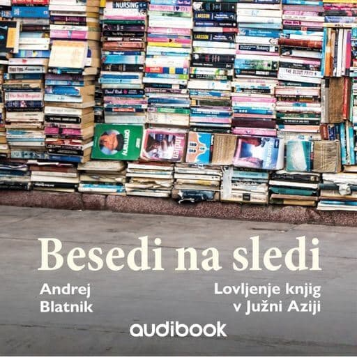 book cover for Besedi na sledi