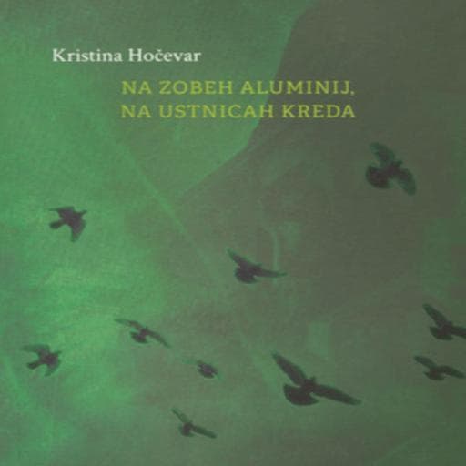 book cover for Na zobeh aluminij, na ustnicah kreda