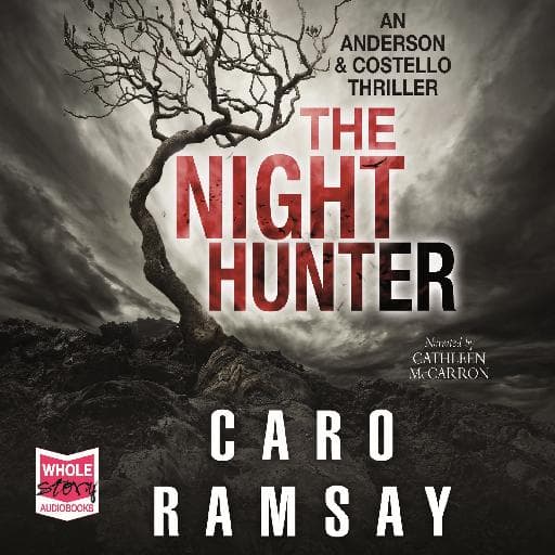 book cover for The Night Hunter