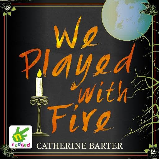 book cover for We Played With Fire