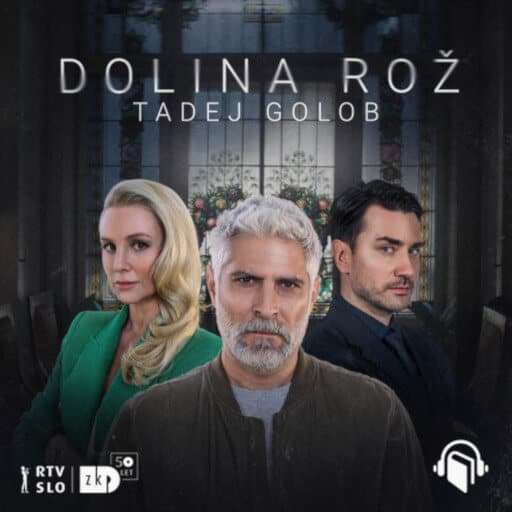 book cover for Dolina rož