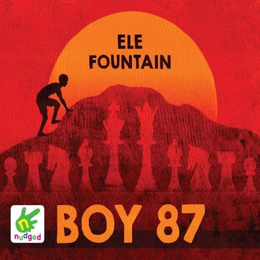 book cover for Boy 87