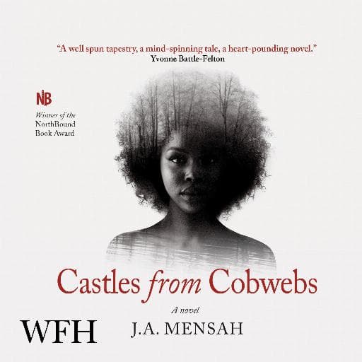 book cover for Castles from Cobwebs