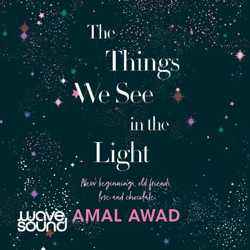 book cover for The Things We See In The Light